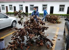  公司黨支部開展廠區(qū)環(huán)境整治志愿服務(wù)活動(dòng)